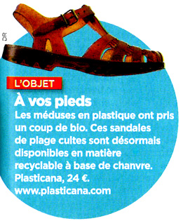 Méduses Plasticana