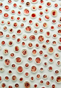 Guillaume Treppoz "Multiplication Rouge"